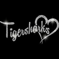 GLT6 SILVER GLITTER Thumbnail