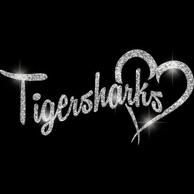 GLT6 SILVER GLITTER Thumbnail